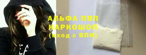 сатива Куйбышев