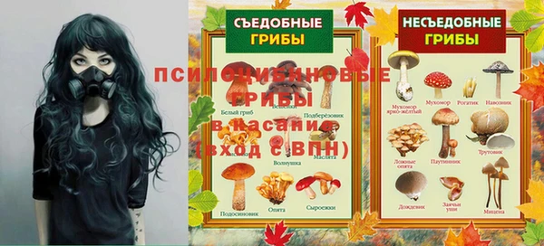 прущая мука Кулебаки