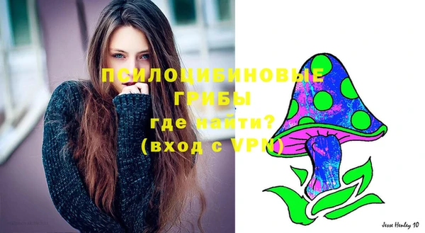 прущая мука Кулебаки