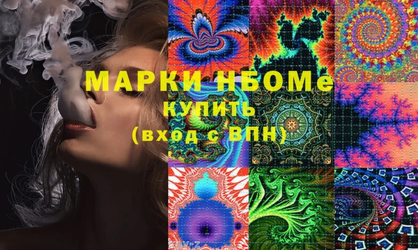 сатива Куйбышев