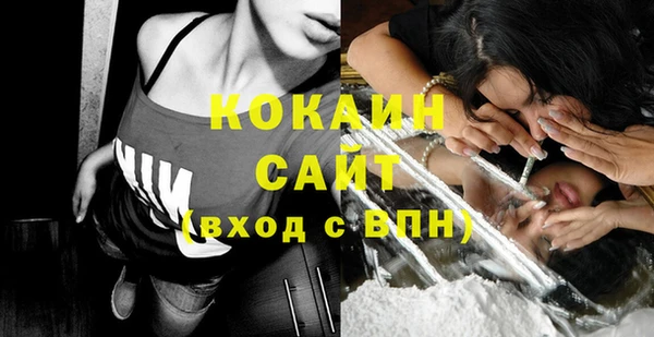 сатива Куйбышев