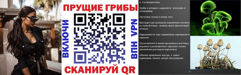 Купить где  Красноуфимск  Псилоцибиновые грибы Psilocybine cubensis 